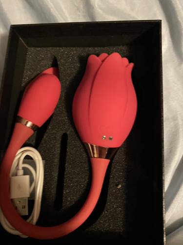 Rose Vibrator Clitoral Sucking Vibrator with Vibrating Egg Suction Vaginal Anal Stimulator photo review